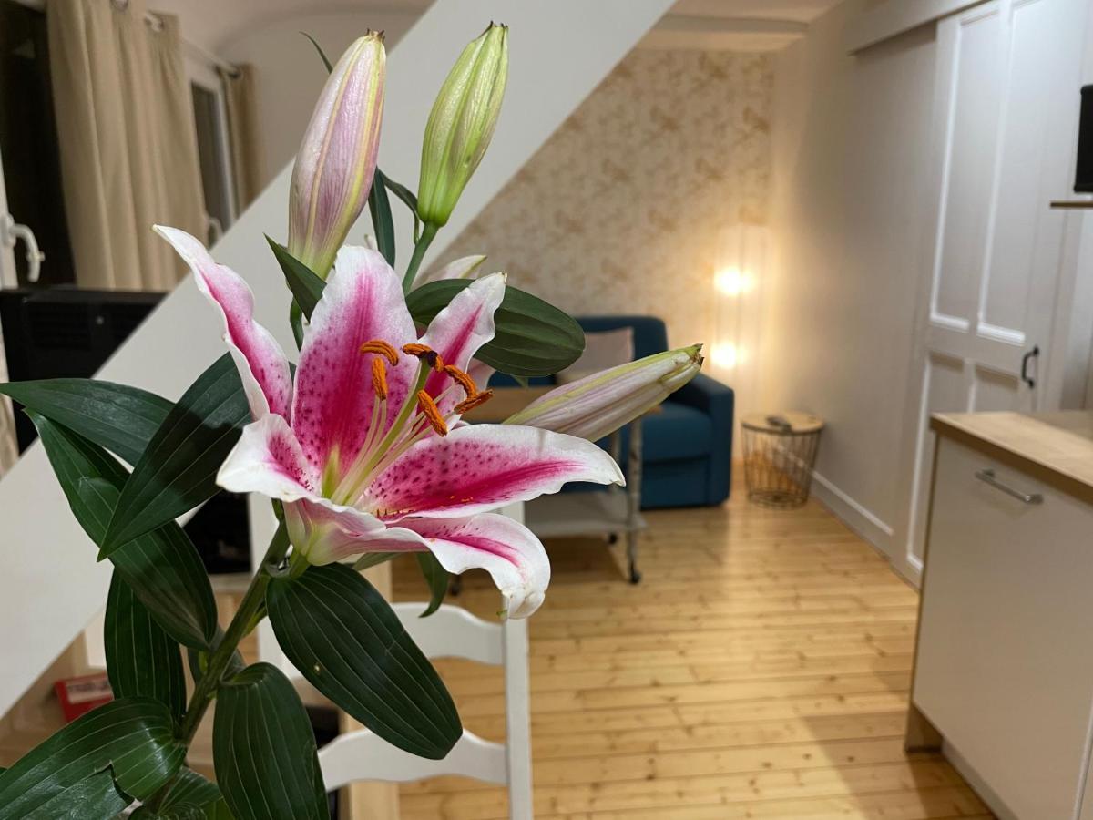 Houlgate Appartement La Briarde Bagian luar foto